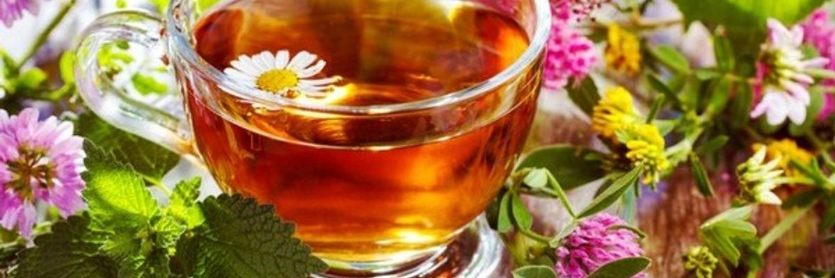 Карпатський Чай: Смак та Цілюща Сила Гірських Трав фото